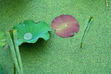 《越野车机械师模拟器》将于4月3日推出免费序章